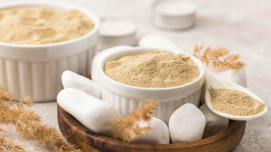 Ashwagandha: The Ancient Herb for Modern Balance
