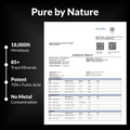 Pure Himalayan Shilajit Resin